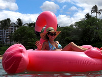 8-Sep-17 Pink Flamingo Maui Girl