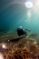 31-Oct-21 Wailea Reef Dive Don Faye