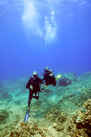 1-Aug-20 Wailea Reef Heather and Kevin Davison